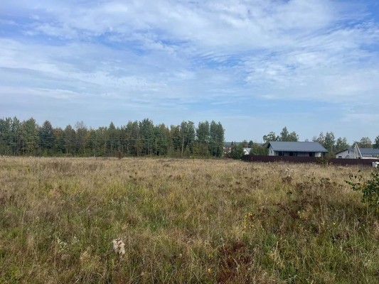 Продам землю для коммерческого использования 245 соток, Фермерское хоз., Дачное неком/партнерство Вяземские дачи тер, Пущино д