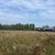 Продам землю для коммерческого использования 245 соток, Фермерское хоз., Дачное неком/партнерство Вяземские дачи тер, Пущино д