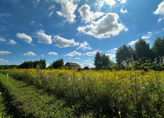 Продам участок 10 соток, ИЖС, Большое Петровское д, 0 км от города