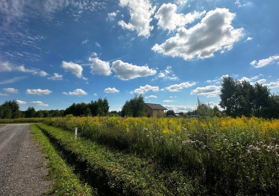 Продам участок 10 соток, ИЖС, Большое Петровское д, 0 км от города