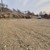 Продам участок 19,09 соток, Фермерское хоз., Грибной (Зеленый сад тер. СНТ) пер, 12А, Находка г, 0 км от города