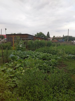 Продам дом, Пионерская ул, 6а, Черницк п, 0 км от города