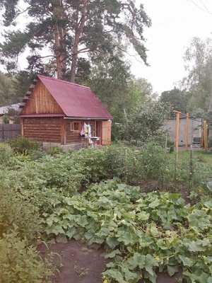 Продам дом, Пионерская ул, 6а, Черницк п, 0 км от города