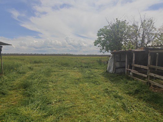 Продам дом, Маяковского ул, 24к2, Чепрасовский п, 0 км от города