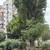 Продам двухкомнатную (2-комн.) квартиру, Кабардинская ул, 214, Нальчик г