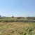 Продам участок 10 соток, ИЖС, А.Х.Думанова ул, Баксан г, 0 км от города
