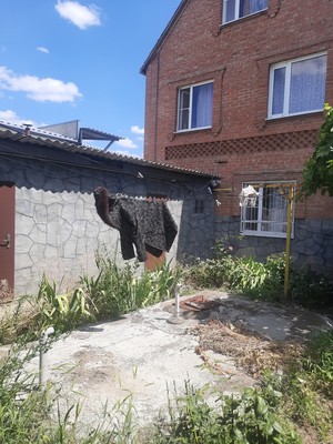 Продам дом, К.Цеткин ул, 58, Батайск г, 0 км от города