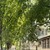 Продам двухкомнатную (2-комн.) квартиру, 2-я Краснодарская ул, 78/2, Ростов-на-Дону г