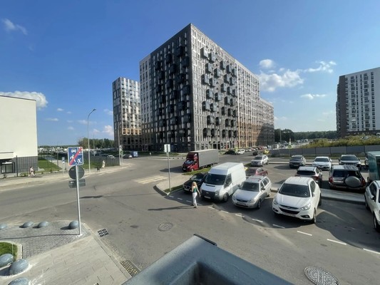 Продам однокомнатную (1-комн.) квартиру, Современников (Пригород Лесное мкр.) ул, 2, Мисайлово д
