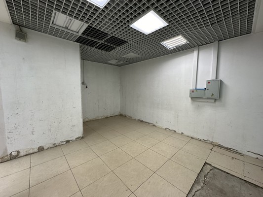 Сдам коммерческое помещение 278,8 м2, Петербургская ул, 9, Казань г