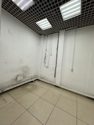 Сдам коммерческое помещение 278,8 м2, Петербургская ул, 9, Казань г
