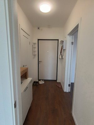 Сдам однокомнатную (1-комн.) квартиру, Пахомовская ул, 22, Санкт-Петербург г