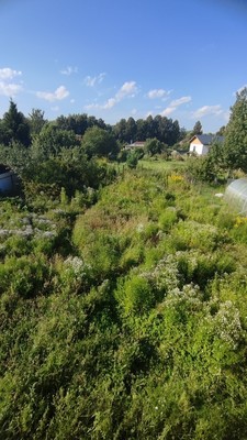 Продам дом, Николаевская ул, 22, Лаговское д, 0 км от города