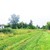 Продам дом, Соловьевка ул, 152, Пружинки с, 0 км от города