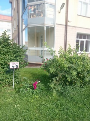 Продам двухкомнатную (2-комн.) квартиру, Всеволода Боброва ул, 37А, Сестрорецк г