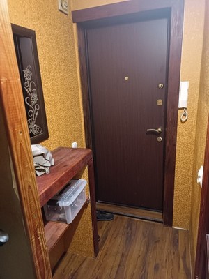 Продам однокомнатную (1-комн.) квартиру, Электрификации ул, 27, Люберцы г