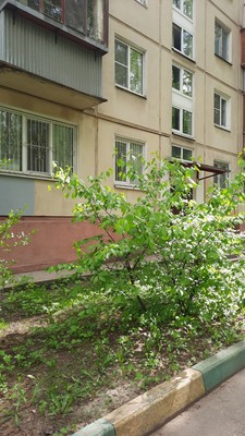 Продам однокомнатную (1-комн.) квартиру, Электрификации ул, 27, Люберцы г