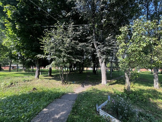 Продам однокомнатную (1-комн.) квартиру, Новая ул, 1, Чепелево д