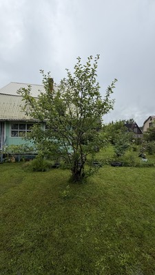 Продам дачу, Заря гск, Вербилки рп, 0 км от города