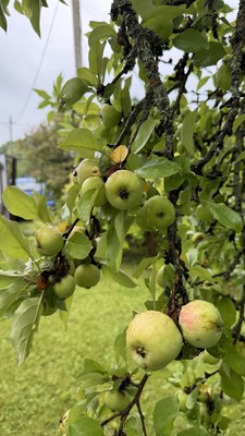 Продам дачу, Заря гск, Вербилки рп, 0 км от города