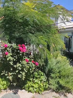 Продам двухкомнатную (2-комн.) квартиру, Крейзера ул, 7, Симферополь г