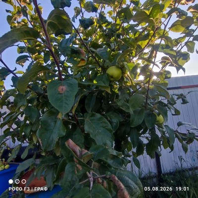 Продам дачу, 6, Пустынка д, 0 км от города