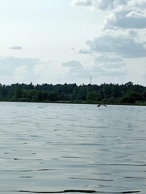 Продам дачу, ПСК Аида тер, 0 км от города