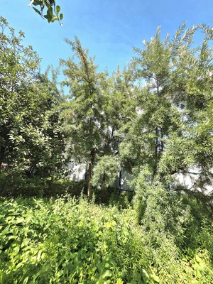 Продам дачу, СНТ Сад N11 КАПО им С.П.Горбунова тер, 526, Казань г, 0 км от города