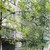 Продам трехкомнатную (3-комн.) квартиру, Победы пр-кт, 105, Пенза г