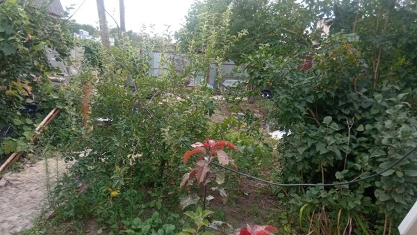 Продам дом, 2-я Сахарная ул, 36, Ростов-на-Дону г, 0 км от города
