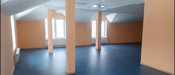 Продам коммерческое помещение 343 м2, Северная ул, 91А, Новопетровское с