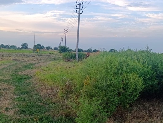 Продам участок 4 соток, ИЖС, Чегем-Второй с, 0 км от города