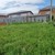 Продам дом, Покровская ул, 41б, Ленинаван х, 0 км от города