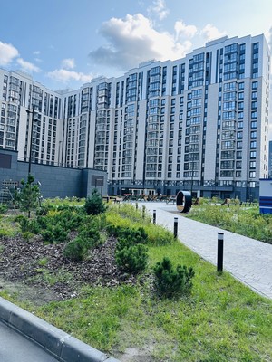 Продам однокомнатную (1-комн.) квартиру, Авиаторов Балтики пр-кт, 23к3, Мурино п