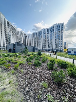 Продам однокомнатную (1-комн.) квартиру, Авиаторов Балтики пр-кт, 23к3, Мурино п