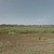 Продам землю для коммерческого использования 720 соток, ИЖС, 3Б мкр, Анапа г