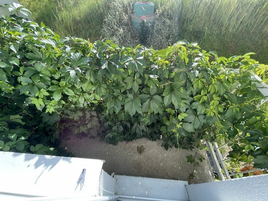 Продам однокомнатную (1-комн.) квартиру, Николаевская (Новое Ступино мкр) ул, 65/13, Верзилово с
