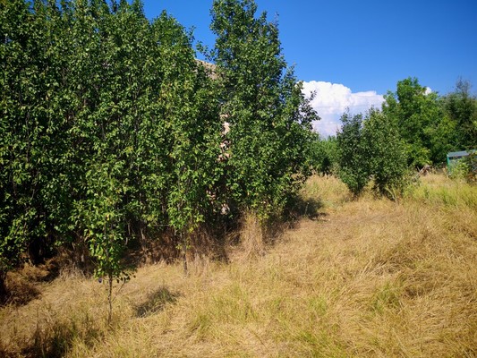 Продам дом, Луговая ул, 2, Усть-Койсуг х, 0 км от города