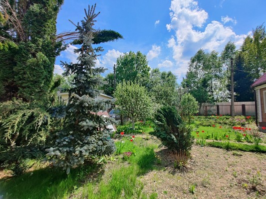 Продам дом, 45, Шахово д, 0 км от города