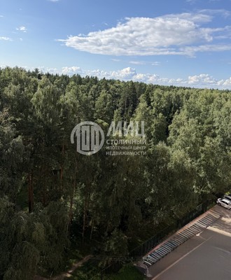 Продам однокомнатную (1-комн.) квартиру, Орлова ул, 8, Щемилово д