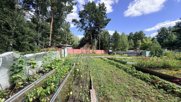 Продам дачу, СНТ Сосенки тер, 111, Пенза г, 0 км от города