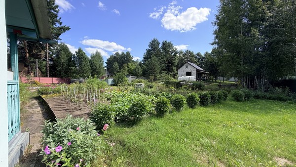 Продам дачу, СНТ Сосенки тер, 111, Пенза г, 0 км от города