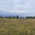 Продам землю для коммерческого использования 165 соток, Фермерское хоз., Чулково д
