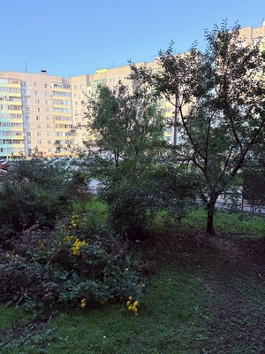 Продам трехкомнатную (3-комн.) квартиру, Шатурская (Байкал тер. СНТ) ул, 10, Шатурторф п