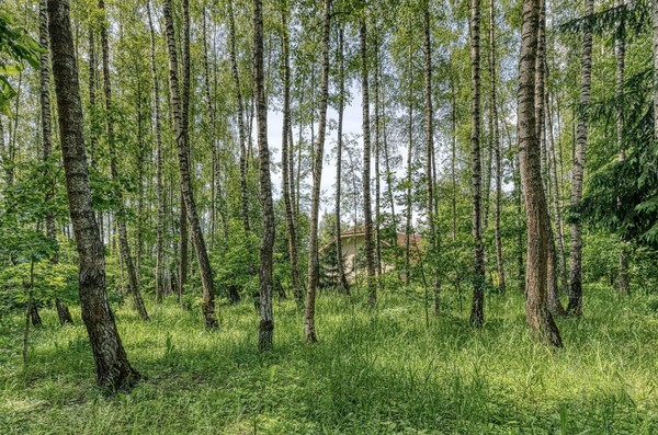 Продам дом, Новая ул, Поповка д, 0 км от города