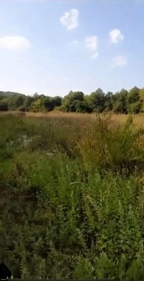 Продам участок 74 соток, ИЖС, Беранда с, 0 км от города