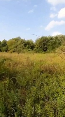 Продам участок 74 соток, ИЖС, Беранда с, 0 км от города