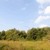 Продам участок 74 соток, ИЖС, Беранда с, 0 км от города