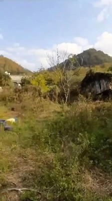 Продам участок 74 соток, ИЖС, Беранда с, 0 км от города