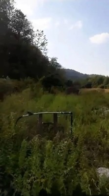Продам участок 74 соток, ИЖС, Беранда с, 0 км от города